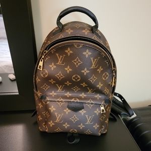 Louis Vuitton Palm Springs Backpack PM